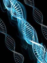 Dna closeup representing interventions to restore your best health.